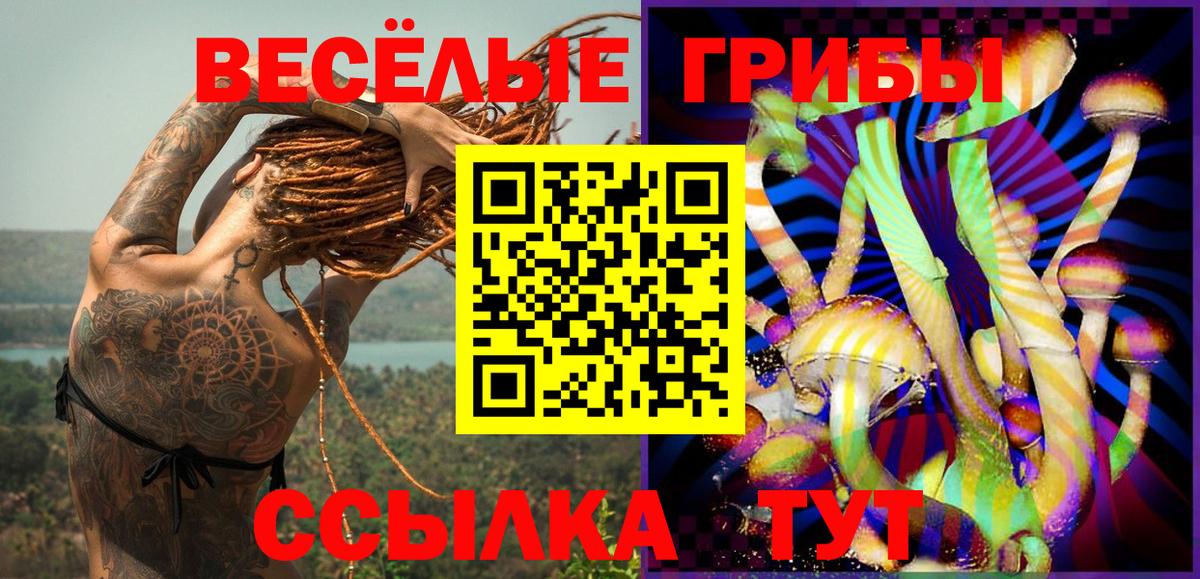 Галлюциногенные грибы мицелий Кулебаки